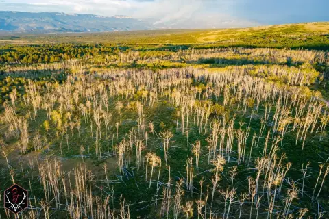 Private Hunting Ranch
