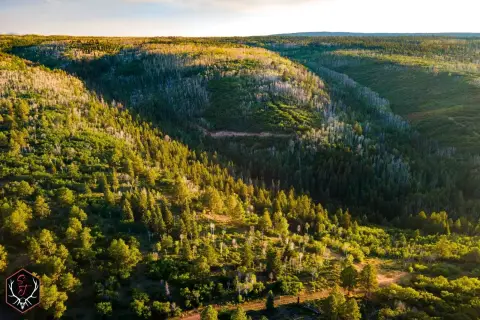 Western Colorado Sporting Ranch