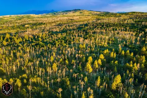 Mountain Sporting Ranch