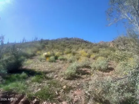 Gentle-Slope Residential Acreage