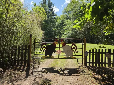 Waterfront Land with Hunting Shack
