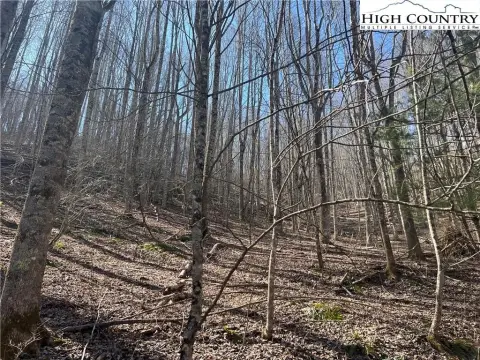 Unrestricted Wooded Land Tract