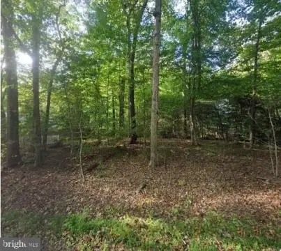 Residential Lot in Chesterfield