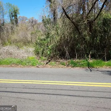 Lakewood Park Vacant Lot