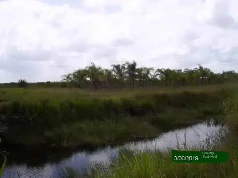 Fenced Agricultural Land