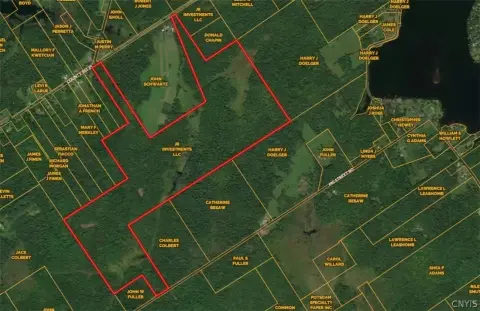 Recreational Wilderness Land with Road Access