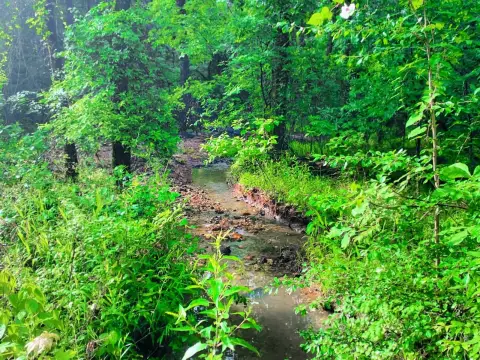 Land in Eagle Mountain Phase