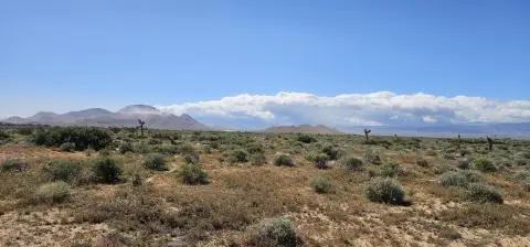 Mojave Buildable Parcel For Sale
