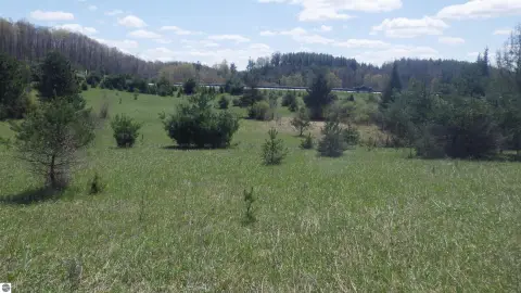 Land with White Pine Frontage