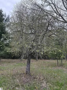 6.7 Acre Corner Lot