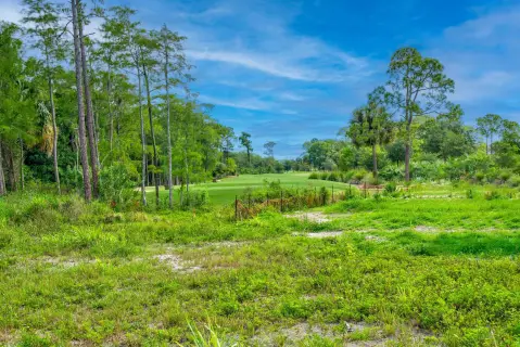 Premier Corner Lot in Jupiter