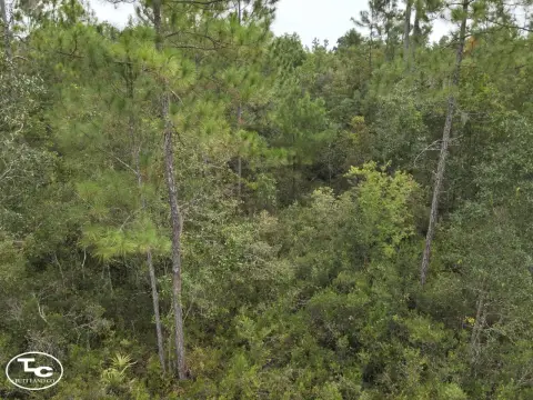 Wooded Recreational Land Tract