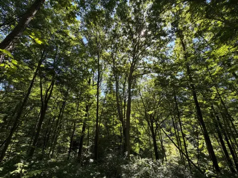 Waterfront Recreation Land Tract