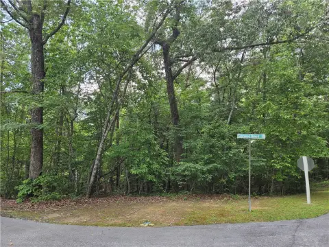 Wooded Corner Lake Community Lot