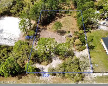 Eustis, FL Acre Parcel