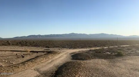 Expansive Yucca Land with Utilities