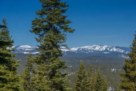Premier Lot in Northstar Retreat