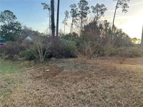 Residential Lot in Palm Coast