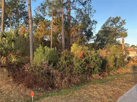 Residential Lot in Palm Coast