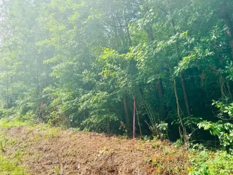 North Augusta Acreage with Creek Views