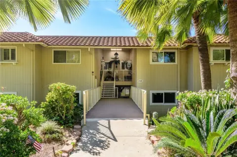 Modern Multi-Family Property