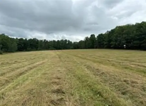 Aviation Airstrip & Wooded Land