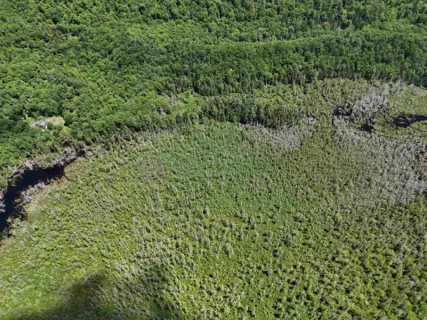 Recreational Waterfront Land Parcel