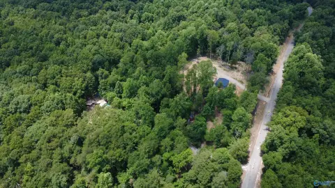 Wooded Recreational Home Site Land