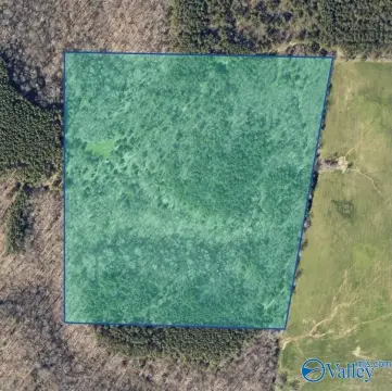 36-Acre Agricultural & Home Site