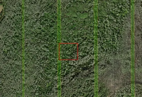 Recreational Land in St. Cloud