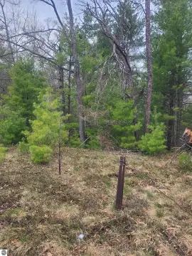 5-Acre Wooded Parcel in Michigan