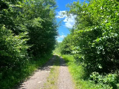 Vacant Hunting and Recreation Parcel