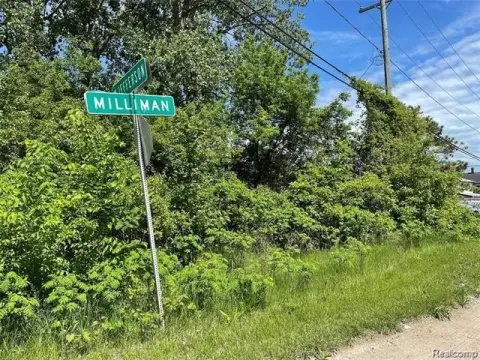 Waterfront Land in Brownstown Township