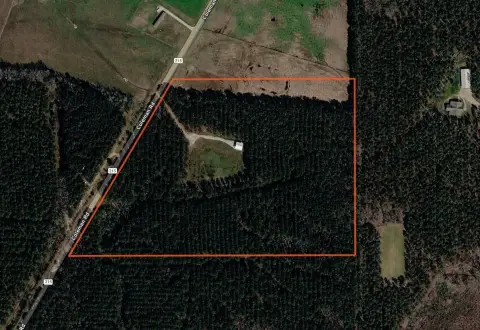 Thaxton, MS - 20 Acre Land