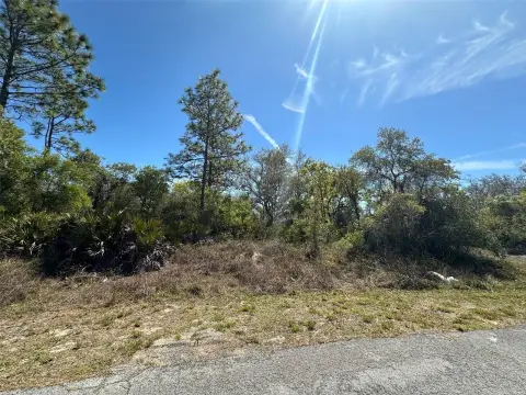 Residential Land in Kissimmee, FL
