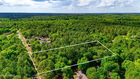 Dunnellon Wooded Land Parcel