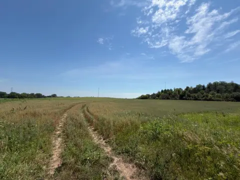 Agricultural Land Parcel