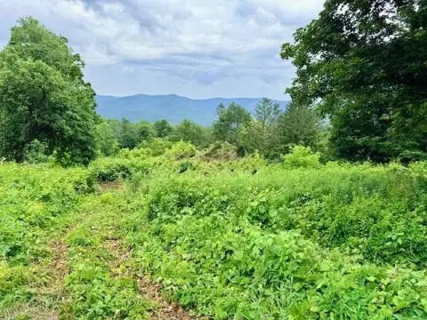Residential Development Lot in Village