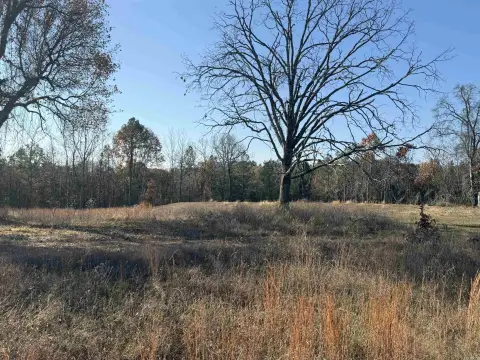Residential Lot in Clinton, AR