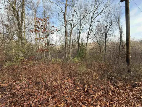 Omaha, AR Wooded Subdivision Lot