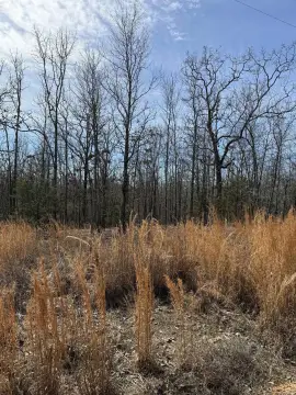 Conway Acreage in Gated Subdivision