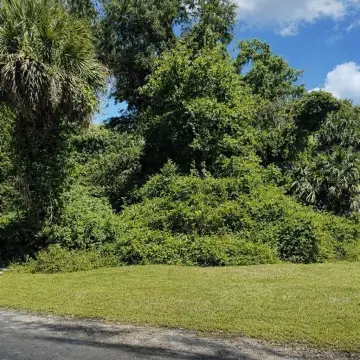 Palm Coast Homesite Opportunity