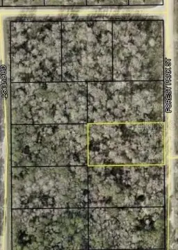 Vacant Land in Bunnell, FL