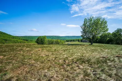 Residential Land in Davis, WV