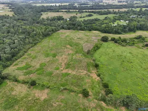 Pastureland Tract with Timber