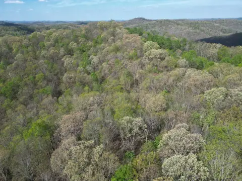 Secluded Land with Hunting Potential