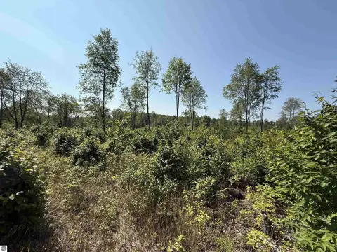 Brightland Woods Vacant Land Parcel