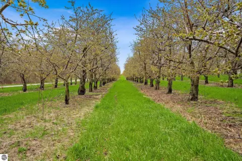 66-Acre Cherry Orchard Homesite