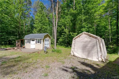 Wooded Recreational Land with Cabin