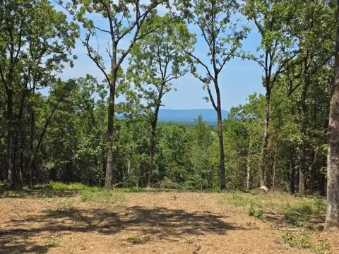 Timber Hunting Land with Ridge Views
